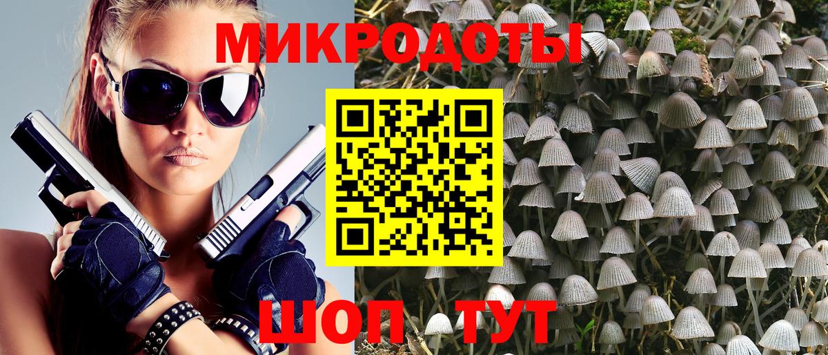 Псилоцибиновые грибы Psilocybine cubensis  Вход с VPN  Новокубанск 